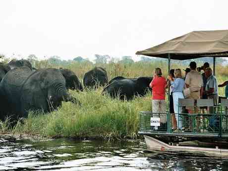 Great Botswana Wilderness Journey